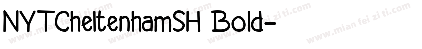 NYTCheltenhamSH Bold字体转换